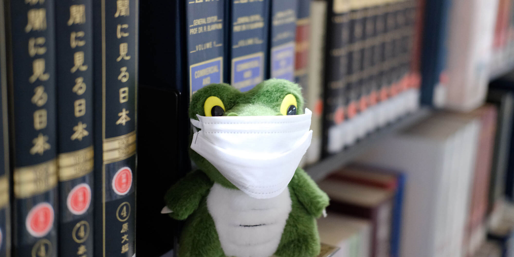 Dr-Wani-OSIPP-Library